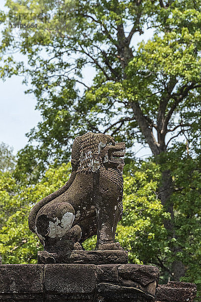 Mit Flechten bewachsener Steinlöwe  der die Stufen bewacht  Ost-Mebon  Angkor Wat; Siem Reap  Provinz Siem Reap  Kambodscha