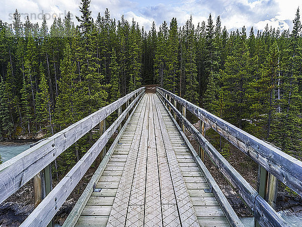 Holzbrückenweg über einen Fluss in einen Wald; Alberta  Kanada