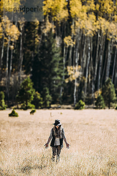 Eine Frau geht über ein Feld mit goldenem Gras in Richtung eines Waldes  Lockett Meadow; Kalifornien  Vereinigte Staaten von Amerika