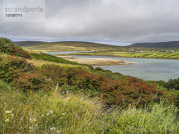 Erris Head Loop  National Looped Walk  Wild Atlantic Way; Glenamoy  County Mayo  Irland