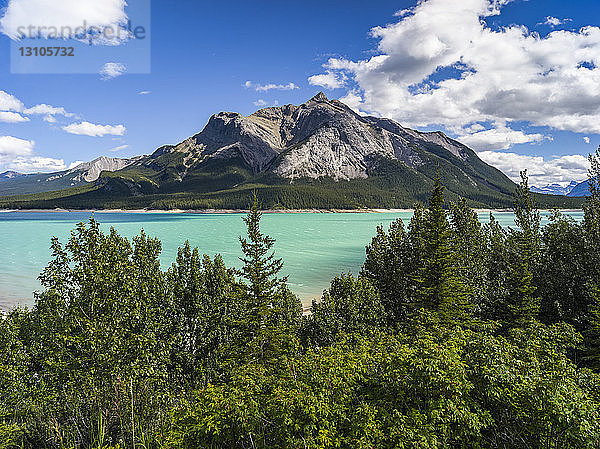 Türkisfarbener Alpensee in den kanadischen Rocky Mountains; Clearwater County  Alberta  Kanada