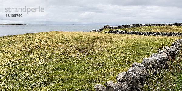 Steinmauer und Gras mit Blick auf den Atlantischen Ozean auf Inishmore  der größten der Aran-Inseln; Kilronan  Grafschaft Galway  Irland