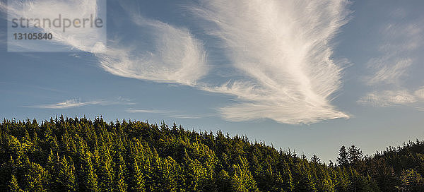 Starker Wind erzeugt skurrile Wolken; Astoria  Oregon  Vereinigte Staaten von Amerika