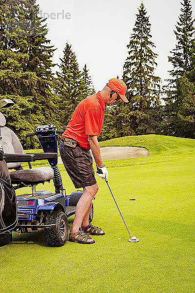 Ein körperlich behinderter Golfer  der einen speziellen Elektrorollstuhl für den Golfsport benutzt  bereitet sich auf dem Putting Green auf seinen Schlag vor; Edmonton  Alberta  Kanada