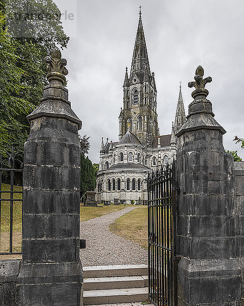 St. Fin Barre's Cathedral; Cork  Grafschaft Cork  Irland