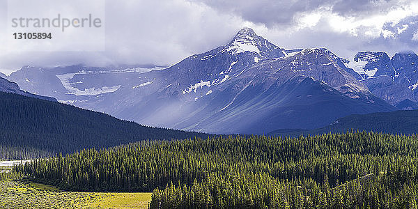 Schroffe kanadische Rocky Mountains mit einem Wald im Tal; Alberta  Kanada