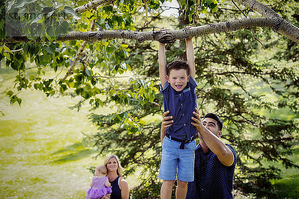 Eine Mutter und ihr Baby schauen zu  während der Vater seinen Sohn hochhält  um ihm beim Hängen an einem Ast zu helfen  während eines Familienausflugs in einem Park an einem warmen Herbsttag; Edmonton  Alberta  Kanada