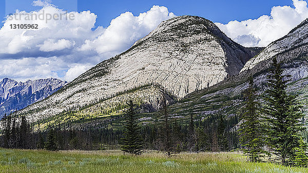 Schroffe kanadische Rocky Mountains mit einem Wald im Tal; Jasper  Alberta  Kanada