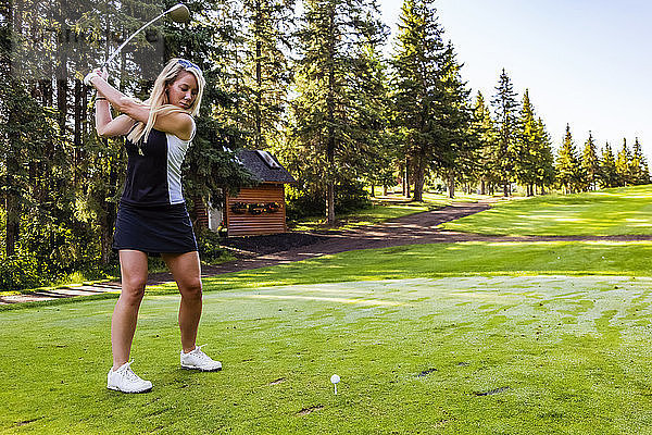 Eine Golferin bei ihrem Schwung  als sie sich auf den Schlag vorbereitet  nachdem sie ihren Schlag vorbereitet hat; Edmonton  Alberta  Kanada