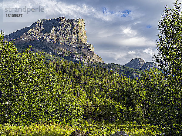 Schroffe kanadische Rocky Mountains mit einem Wald im Tal; Alberta  Kanada