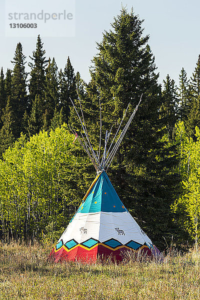 Dekorativ bemaltes Tipi in einem Feld mit Bäumen im Hintergrund und blauem Himmel  westlich von Turner Valley; Alberta  Kanada