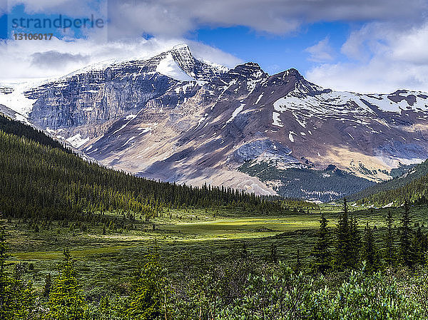 Kanadische Rocky Mountains mit Wäldern  die den Berg hinunterreichen  und einer üppigen Wiese im Tal  Jasper National Park; Jasper  Alberta  Kanada