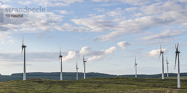 Windkraftanlagen entlang der Causeway Coastal Route  Nordirland; Limavady  Irland