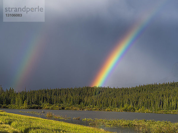 Doppelter Regenbogen in Gewitterwolken mit einem Wald und einem Fluss im Vordergrund; Alberta  Kanada