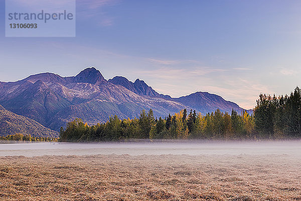 Nebel füllt ein grasbewachsenes Feld unterhalb der Twin Peaks und der Chugach Mountains während des Sonnenuntergangs im Knik River Valley im Herbst  Süd-Zentral-Alaska; Palmer  Alaska  Vereinigte Staaten von Amerika