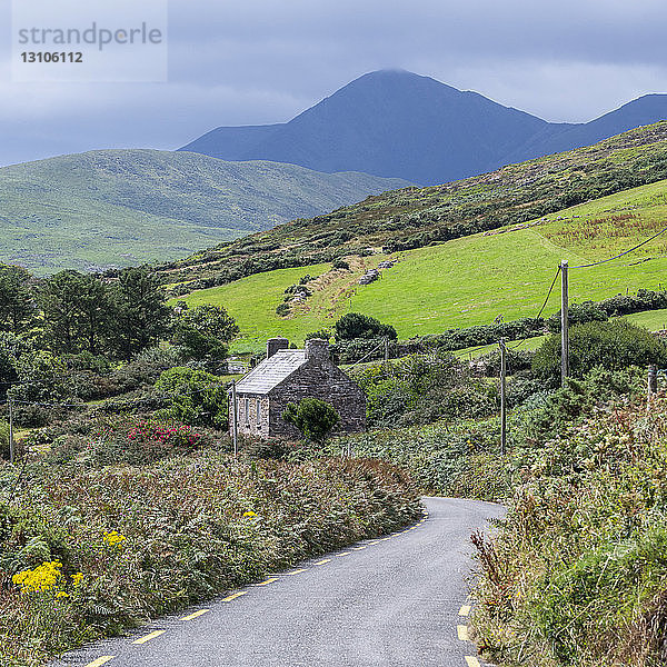 Eine Straße  die sich durch die bergige Landschaft der Grafschaft Kerry schlängelt  mit leuchtend grünen Feldern und bunten Wildblumen am Straßenrand; Castlegregory  Grafschaft Kerry  Irland