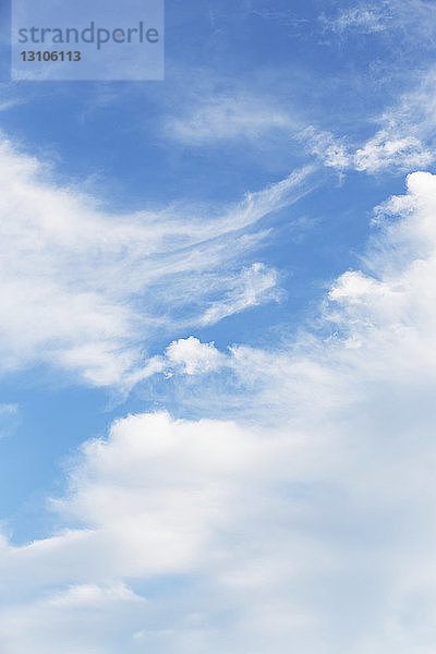 Kumuluswolken vor einem wunderschönen blauen Himmel; Edmonton  Alberta  Kanada