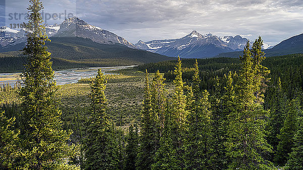 Schroffe kanadische Rocky Mountains mit einem Wald und einem Fluss im Tal  Banff National Park; Saskatchewan River Crossing  Alberta  Kanada