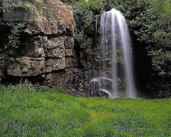 Wasserfall  Kilfane Glen  Co Kilkenny  Irland