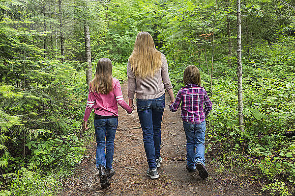 Drei Schwestern gehen zusammen und halten sich an den Händen auf einem Wanderweg; Salmon Arm  British Columbia  Kanada
