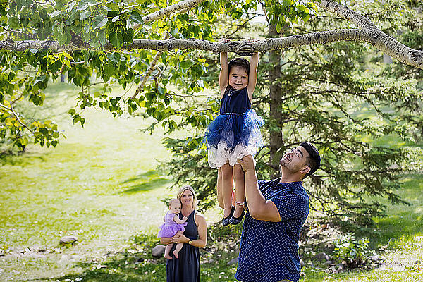 Eine Mutter und ihr Baby schauen zu  während der Vater seine Tochter hochhält  um ihr beim Hängen an einem Ast zu helfen  während eines Familienausflugs in einem Park an einem warmen Herbsttag; Edmonton  Alberta  Kanada