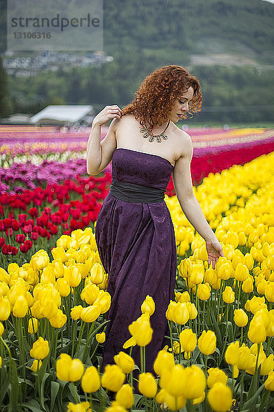 Eine Frau in einem formellen Kleid geht durch ein Tulpenfeld; Abbotsford  British Columbia  Kanada