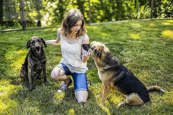 Jugendliches Mädchen mit zwei Hunden auf einer Wiese; Surrey  British Columbia  Kanada