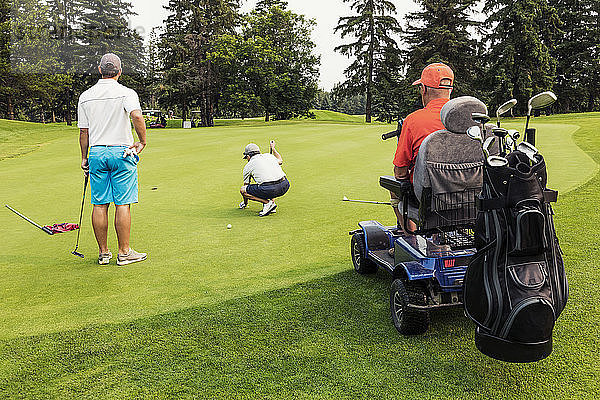 Zwei nichtbehinderte Golfer bilden ein Team mit einem behinderten Golfer  der einen speziellen elektrischen Golfrollstuhl benutzt  und spielen gemeinsam auf einem Golfgrün den besten Ball; Edmonton  Alberta  Kanada