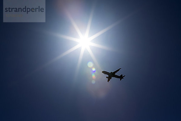 Silhouette eines Flugzeugs vor einem Sonnenaufgang und blauem Himmel; Calgary  Alberta  Kanada