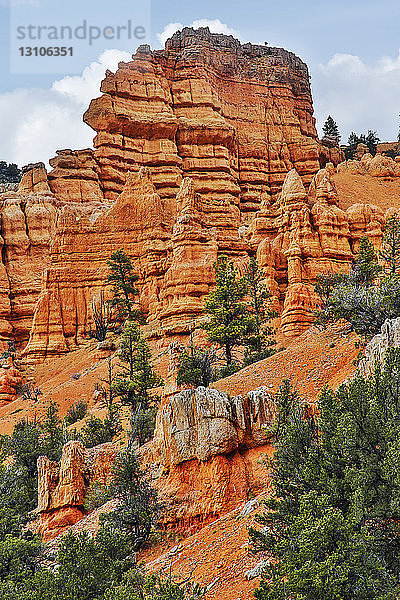 Leuchtend roter Sandstein im Bryce Canyon National Park; Utah  Vereinigte Staaten von Amerika