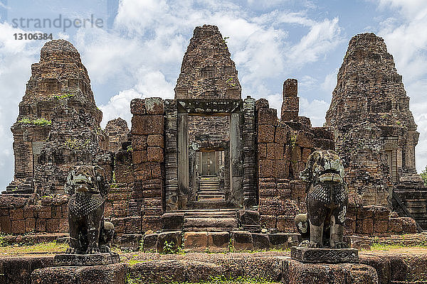 Mit Flechten bedeckte steinerne Löwen bewachen den Tempel  East Mebon  Angkor Wat  Kambodscha