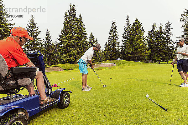 Zwei nichtbehinderte Golfer bilden ein Team mit einem behinderten Golfer  der einen speziellen elektrischen Golfrollstuhl benutzt  und spielen gemeinsam auf einem Golfgrün den besten Ball; Edmonton  Alberta  Kanada