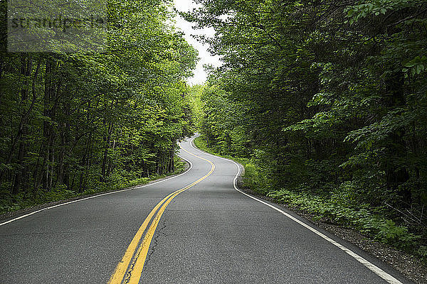 Ein kurvenreicher Highway 232 im Groton State Park  gesäumt von üppigen Bäumen; Vermont  Vereinigte Staaten von Amerika