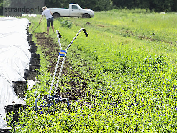 Radhacke und eine Frau bei der Gartenarbeit im Hintergrund; Upper Marlboro  Maryland  Vereinigte Staaten von Amerika