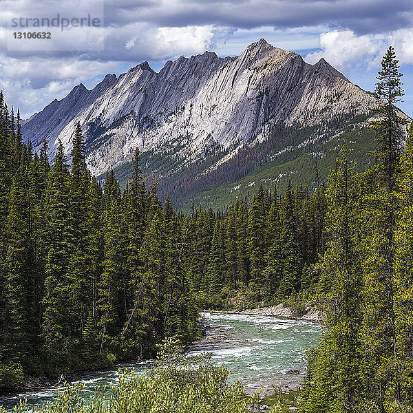 Schroffe kanadische Rocky Mountains mit einem fließenden Fluss und Wald im Tal  Jasper National Park; Jasper  Alberta  Kanada