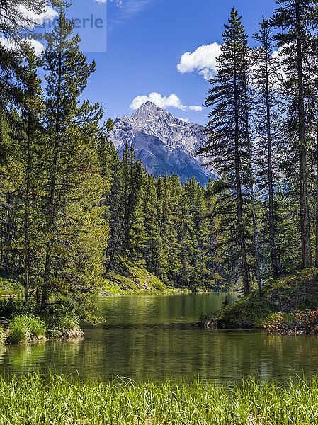 Zerklüftete kanadische Rocky Mountains mit einem Wald und einem See im Vordergrund  Jasper National Park; Jasper  Alberta  Kanada