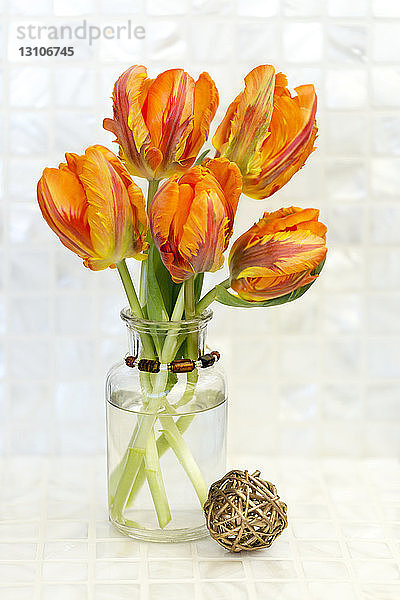 Orangefarbene Tulpen in einer dekorativen Vase vor weißem Hintergrund