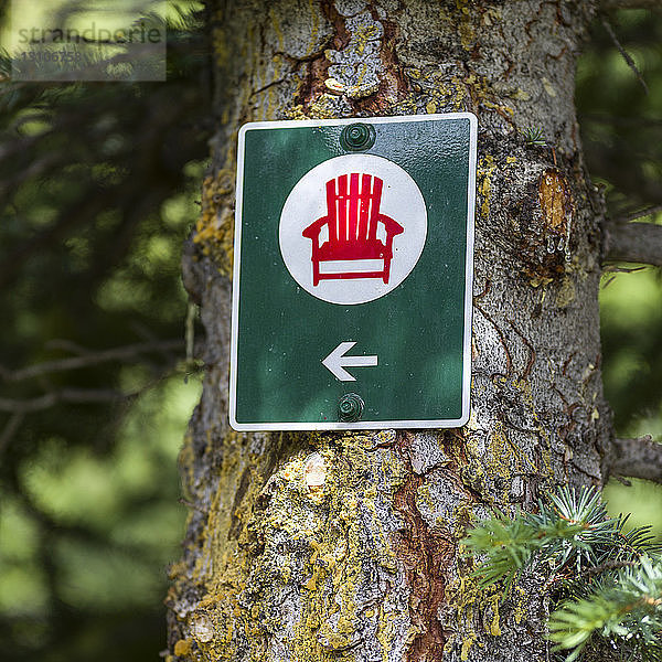 Red Chair -Ziele  Schild an einem Baumstamm  Kanadische Nationalparks; Alberta  Kanada