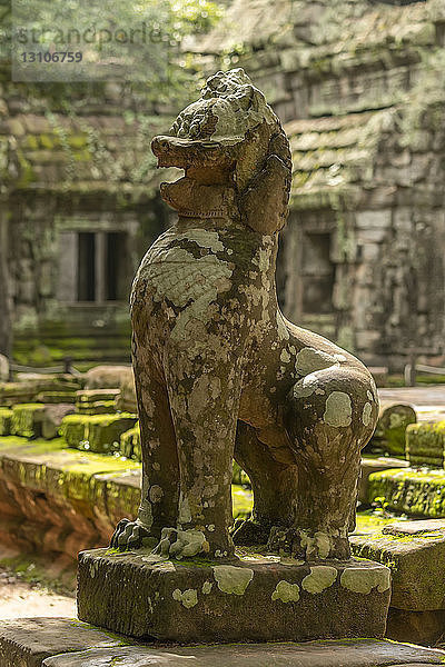 Steinlöwe bewacht die Stufen zu Ta Prohm  Angkor Wat; Siem Reap  Provinz Siem Reap  Kambodscha