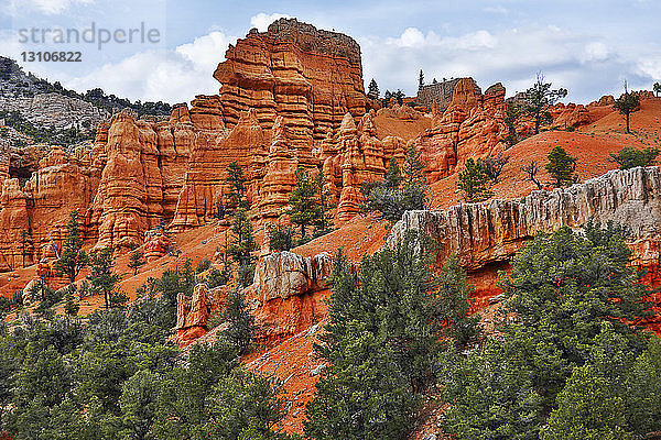 Leuchtend roter Sandstein im Bryce Canyon National Park; Utah  Vereinigte Staaten von Amerika