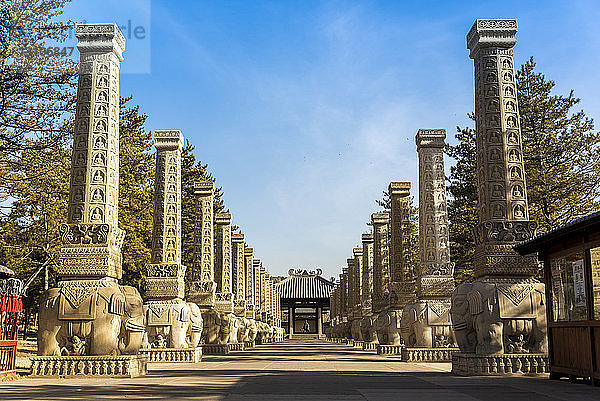 Auf Elefanten basierende Säulen in den Yungang-Grotten  alten chinesischen buddhistischen Tempelgrotten in der Nähe von Datong; China