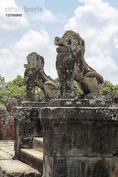 Mit Flechten bedeckte steinerne Löwen bewachen den Tempel  East Mebon  Angkor Wat; Siem Reap  Provinz Siem Reap  Kambodscha