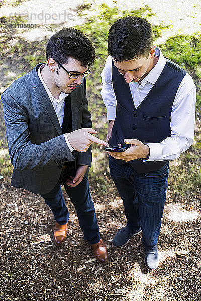 Junge Männer schauen auf ein Smartphone; Bothell  Washington  Vereinigte Staaten von Amerika