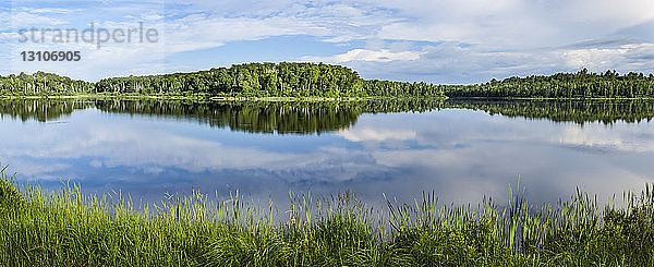 Reflektionen von Himmel und Bäumen auf einem ruhigen See; Ontario  Kanada