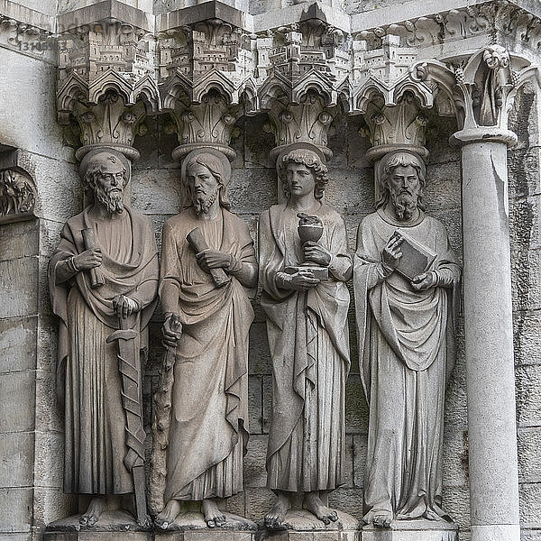 Skulpturen an der Fassade der Saint Fin Barre's Cathedral; Cork  Grafschaft Cork  Irland