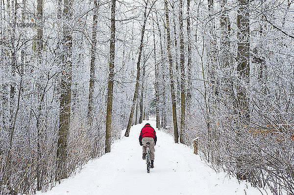 Mountainbike-Fahrer auf einer verschneiten Wintertour; St. Albert  Alberta  Kanada