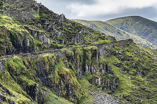 Schroffer Berghang mit grünem Laub; Cloghane  Grafschaft Kerry  Irland