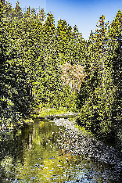 Ein friedlicher Blick auf den Nachez River am Highway 410 auf der Ostseite des Chinook Pass; Washington  Vereinigte Staaten von Amerika