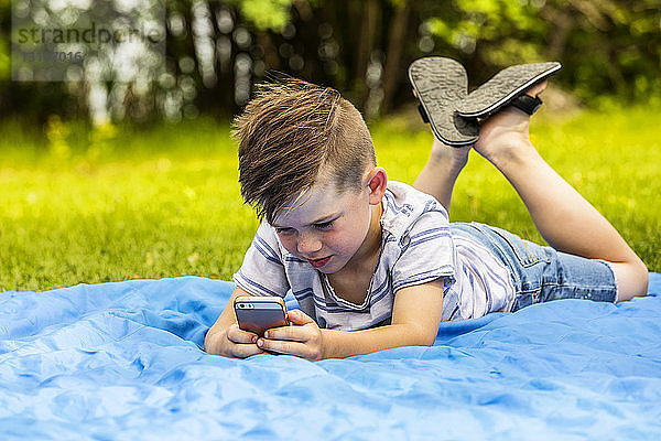 Ein kleiner Junge spielt mit einem Smartphone und schreibt eine SMS  während er an einem warmen Sommertag auf einer Decke in einem Stadtpark liegt; Edmonton  Alberta  Kanada