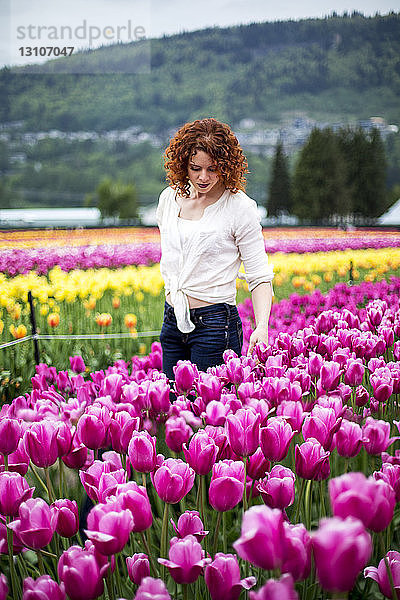 Eine Frau mit roten Haaren steht in einem Tulpenfeld; Abbotsford  British Columbia  Kanada